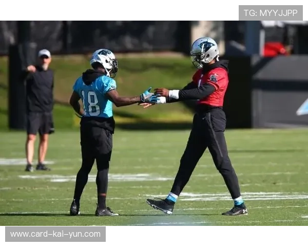 维拉敲定长传型组织者