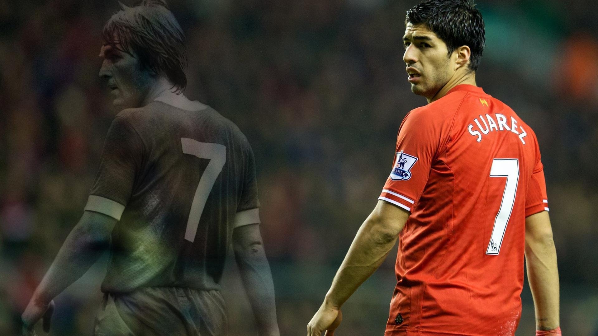 世界杯志愿者报名人数突破百万 录取比例堪比名校